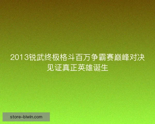 2013锐武终极格斗百万争霸赛巅峰对决见证真正英雄诞生 2013锐武终极格斗百万争霸赛巅峰对决见证真正英雄诞生