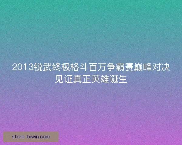 2013锐武终极格斗百万争霸赛巅峰对决见证真正英雄诞生 2013锐武终极格斗百万争霸赛巅峰对决见证真正英雄诞生